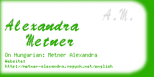 alexandra metner business card